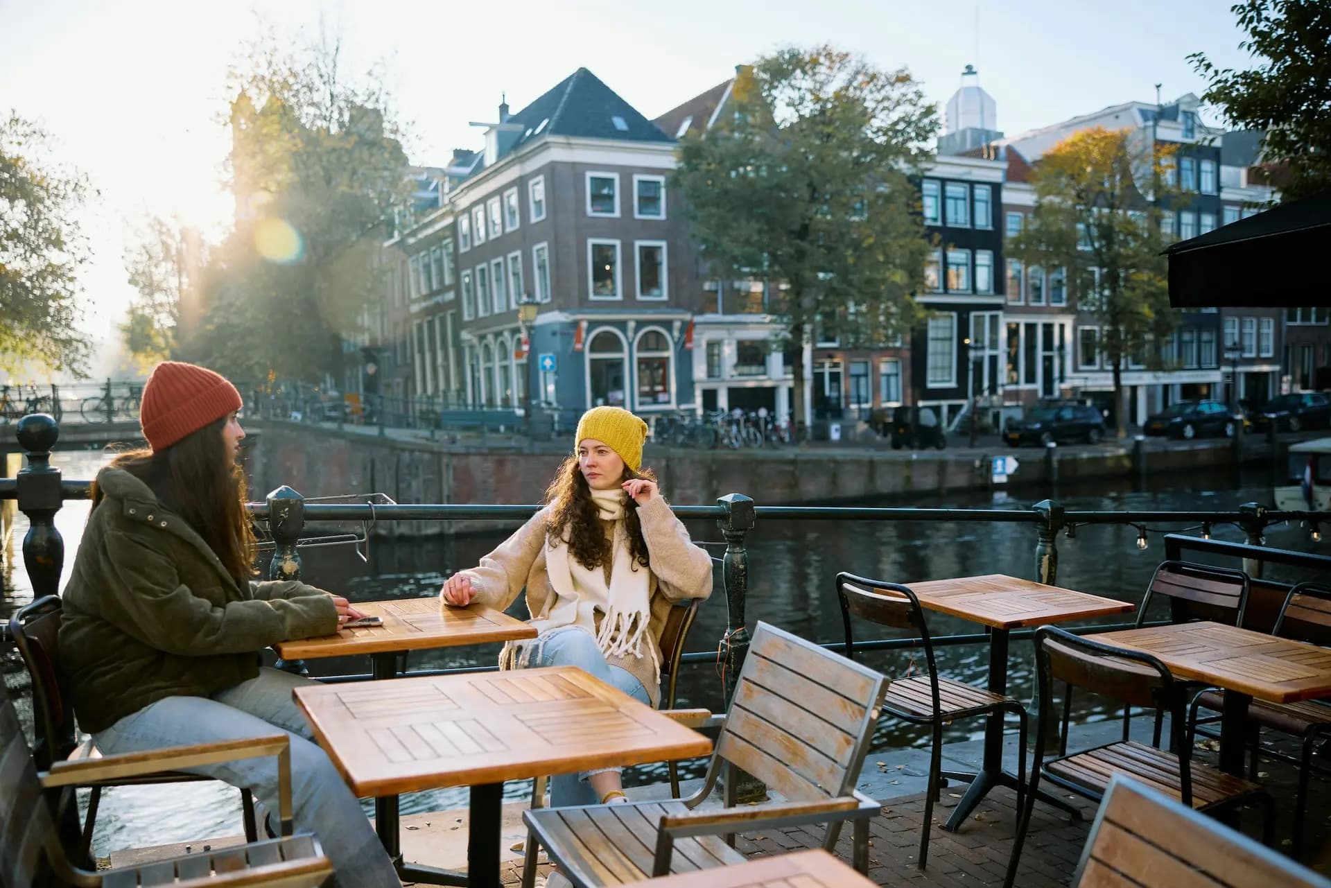 Dutch Cohort #2
